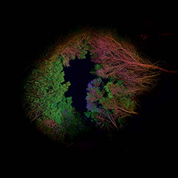 Hidden Island Music (untitled #398) (LP)
