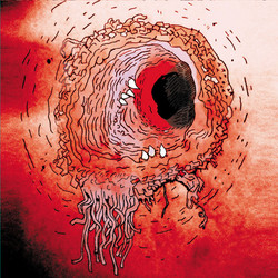 Terror Iridescence (LP)