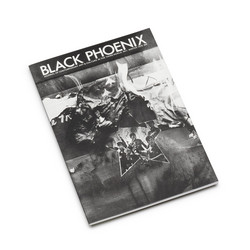 Black Phoenix: Third World Perspective on Contemporary Art and Culture (Book)