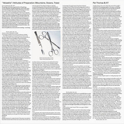 Akisakila / Attitudes of Preparation (Mountains, Oceans, Trees) (2LP)