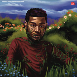 In Search of Our Father's Gardens (2LP)