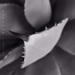 Epitaph (2LP)