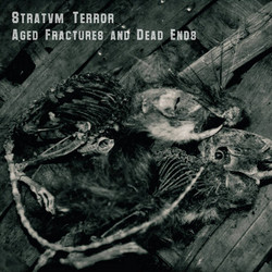 Aged Fractures And Dead Ends (2CD)