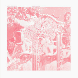 Shouting At Nuance (2LP)
