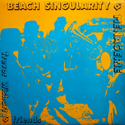 Beach Singularity & Menagerie