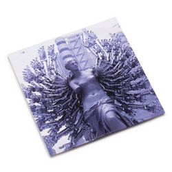 Hybrid Dub Metal Musik (LP)