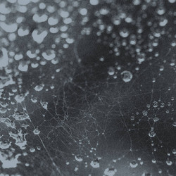 Noiseem (LP, Clear)