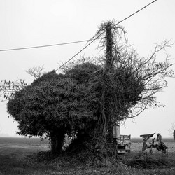 Racconti D'osservazione (CD + Book)