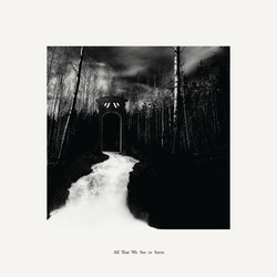All That We See or Seem (LP)