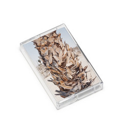 Abstersion (Tape)