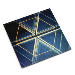 Born Again in the Voltage (LP)