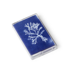 nolastingname (Tape)