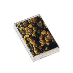 Cells #2 (Tape)