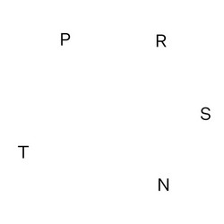 PRSNT (White LP)
