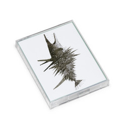 Pisces (2 Tapes)