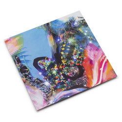Animais Sintéticos (LP)
