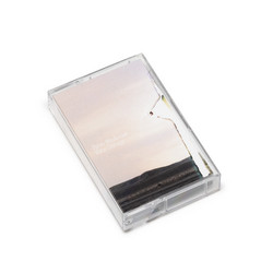 Voice Damage (Tape)