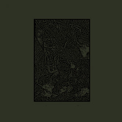 Wormwood