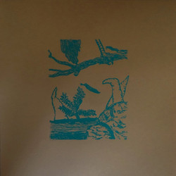 E' Vago Fior del Tempo (LP)