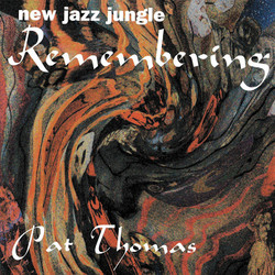 New Jazz Jungle: Remembering (2LP)