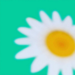 Foam (LP, White)