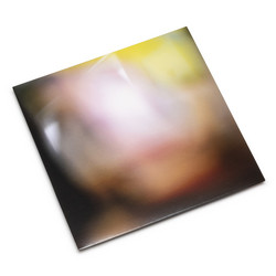 Upon This Fleeting Dream (LP)