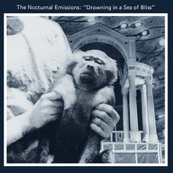 Drowning in a Sea of Bliss (LP)