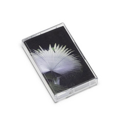 A Conference of Critters (Tape)