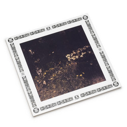 Pale Bloom (LP)