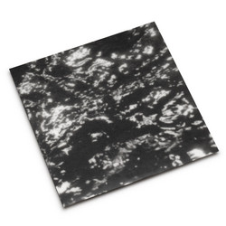 A I A : Dream Loss (LP)