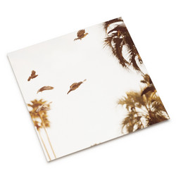 Intaglio (LP)