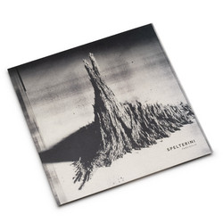 Paréidolie (LP)