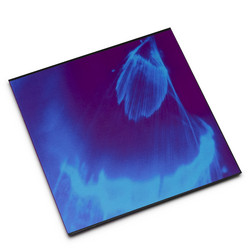 Future Moons (LP, Clear)