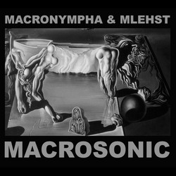 Macrosonic