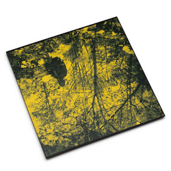 Meadow Of Dreams (LP, Clear)