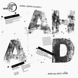 Astro-Noetic Chiasm X (LP)