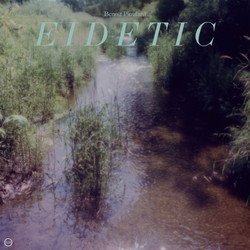 Eidetic (LP)