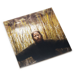 Wild Boy: The Lost Songs Of Eden Ahbez (uncut studio versions) (LP, Yellow/Green)