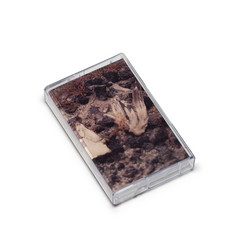 Notes: stones (in solidarity) (Tape)