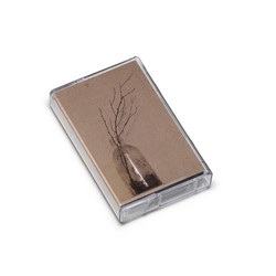 Songs of Reunion (Tape)