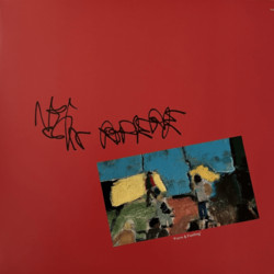 Form & Feeling (LP)