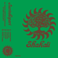 Aurinkopari (LP)