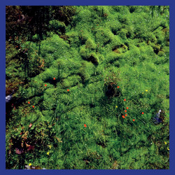 Mt. Hadamard National Park (LP, White)