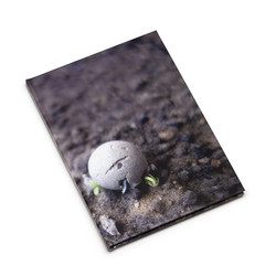 Nurturing Exhibitions (Book + 2CD)