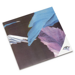 Forget The Curse (LP)