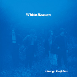 Strange Bedfellow (LP)