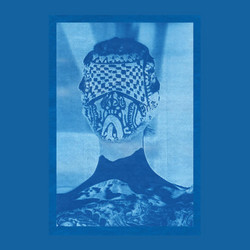 She Came Through the Window to Stand By the Door (LP)
