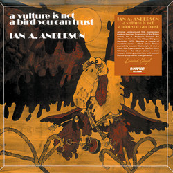 A Vulture Is Not A Bird You Can Trust (LP)