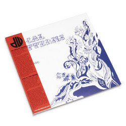 Vocal Patterns (LP)