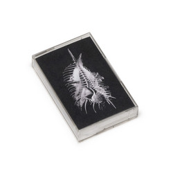 For Wind Poetry (Tape)